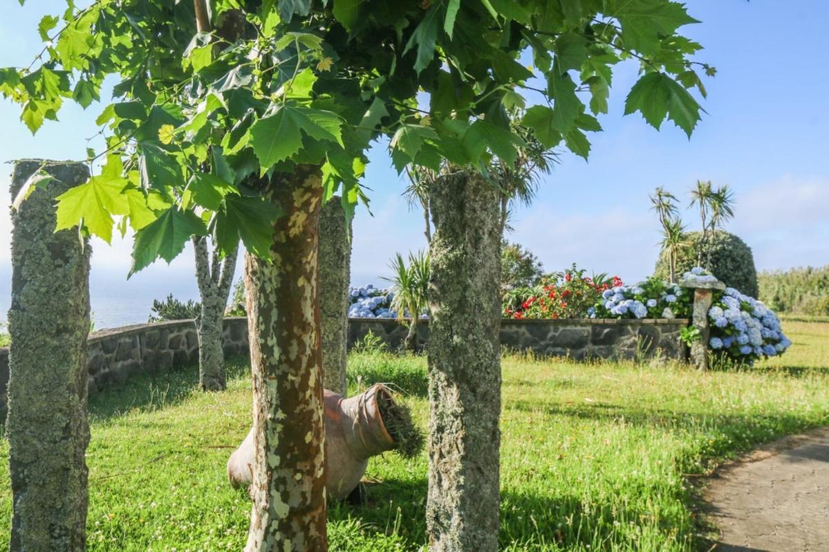 Green Oceanview Relaxing Cottage Mosteiros  Exterior foto